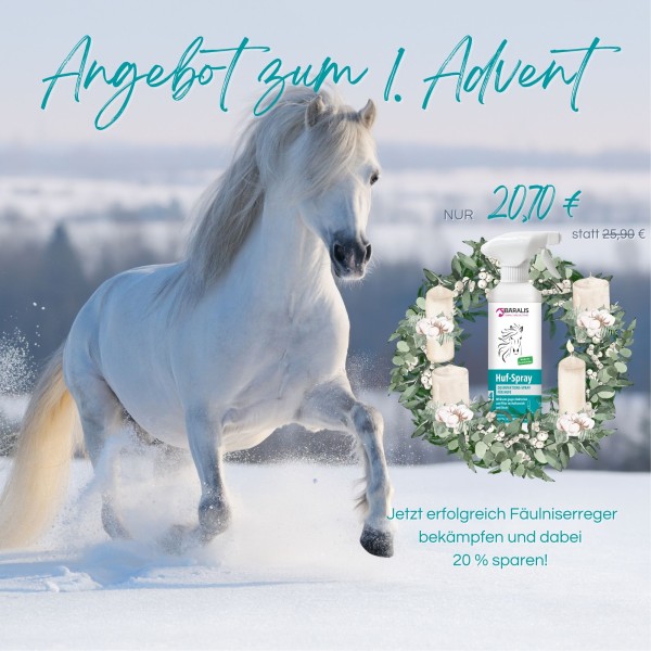 BÄRALIS Huf-Spray Desinfektionsspray 500 ml