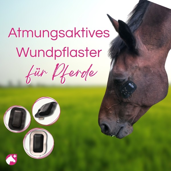 BÄRALIS Pferde-Pflaster & Fliegenschutz - 3 Stück - 75 x 105 x 10 mm