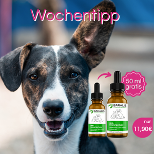 BÄRALIS Ohr-Reiniger Kleintier 50 ml+50 ml gratis