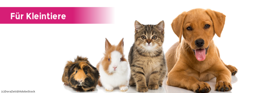 B-rovet_Produkte_fuer_KleintiereQxkvf2DtSHfhn