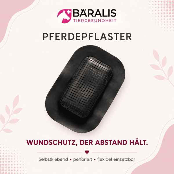 BÄRALIS Pferde-Pflaster - luftdurchlässiger Wundschutz - 3 Stück
