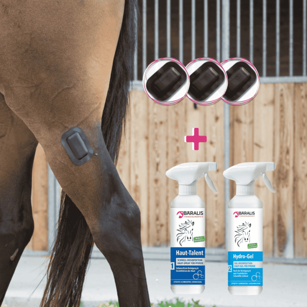 BÄRALIS SparSet Pferd & Fliegenpflaster 3er Set